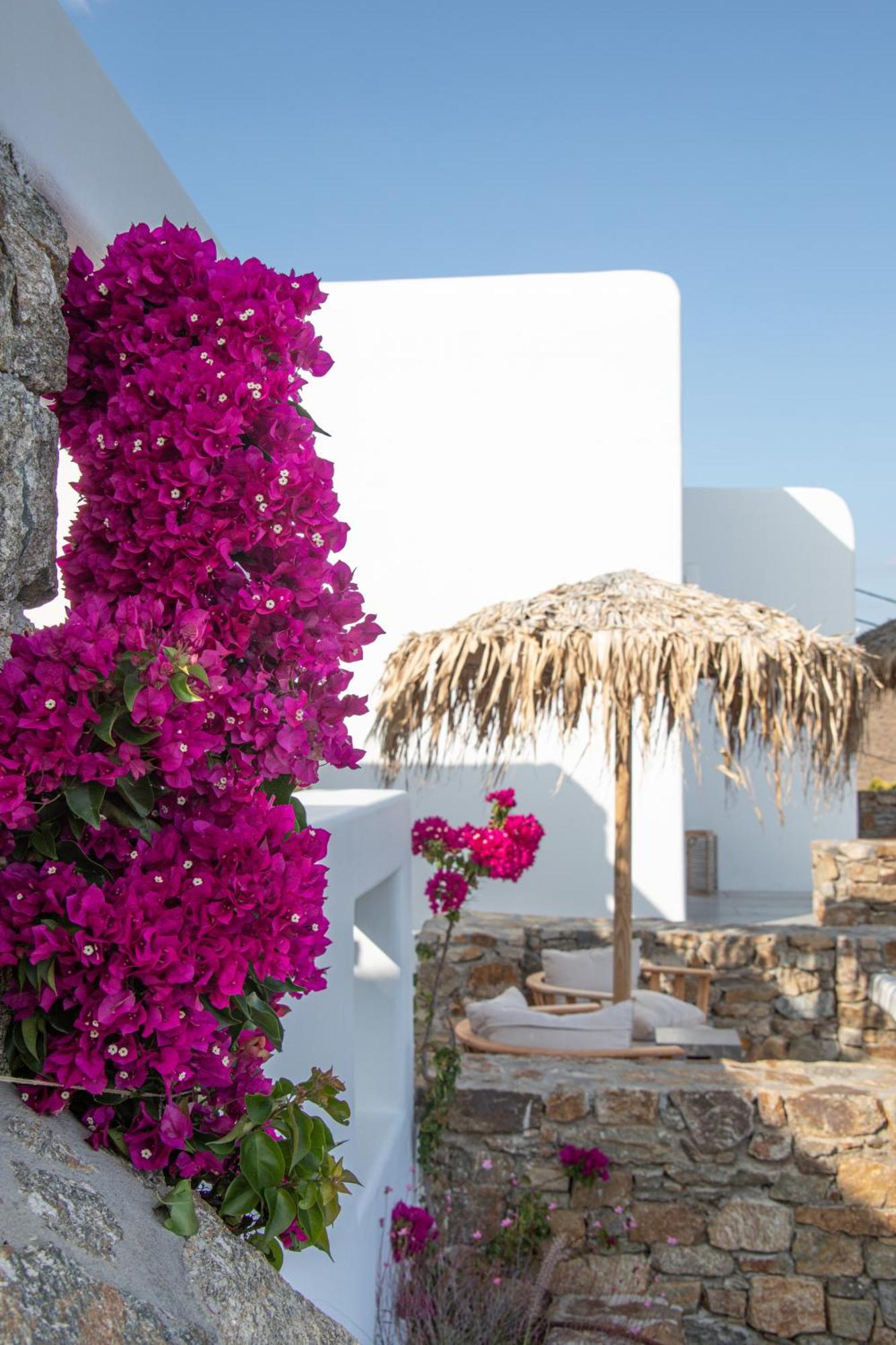 The Summit Of Mykonos Bed & Breakfast Kalo Livadi Dış mekan fotoğraf