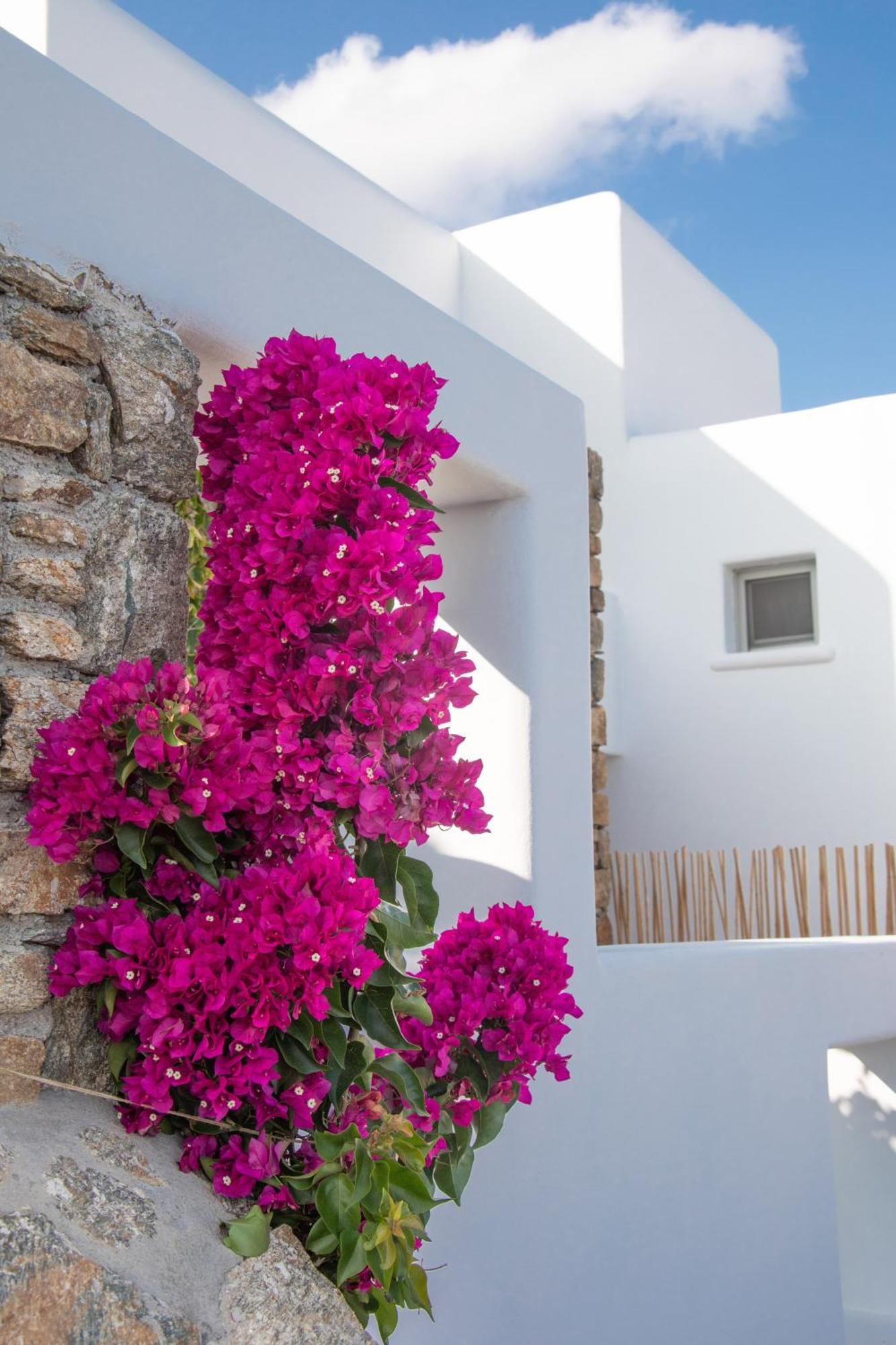 The Summit Of Mykonos Bed & Breakfast Kalo Livadi Dış mekan fotoğraf